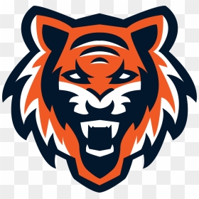 Tigers Srd, HD Png Download - white sox logo png