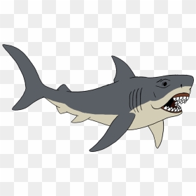 D6g7y2m 9294ffd8 1438 4082 9b25 A8a7c91a4c4e - Cartoon Tiger Shark, HD Png Download - jaws png