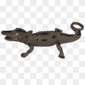 American Crocodile , Png Download - Alligator Lizard, Transparent Png - crocodile png
