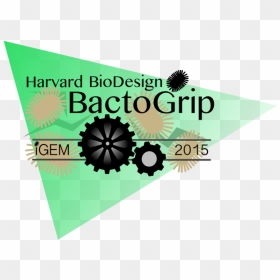Harvard Logo - Web Design, HD Png Download - harvard logo png
