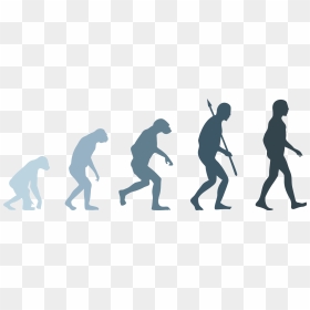 Human Evolution Png - Transparent Human Evolution Png, Png Download - evolution png