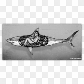 Revenge Drawing Jaws - Paul Jackson Quints Revenge, HD Png Download - jaws png