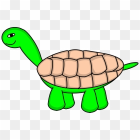 Tortoise Stage 6 Final Svg Clip Arts - Cartoon Turtle, HD Png Download - tortoise png