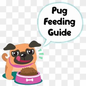 Pug Feeding Guide - Pug, HD Png Download - pug face png