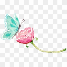 Meanwhile I Have Been Busy Planning A Top Secret, Super - Transparent Background Watercolor Butterfly Clipart, HD Png Download - mariposa png