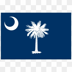 Us Sc South Carolina Flag Icon - South Carolina Flag Circle, HD Png Download - south carolina png