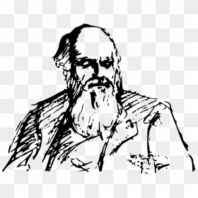 Charles Darwin Easy Drawing, HD Png Download - evolution png
