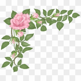 Transparent Rose Vector Png - Rose, Png Download - rose flower vector png
