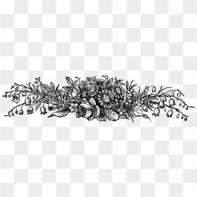 Wildflower Clipart Black & White, HD Png Download - floral pattern border png