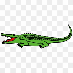 Dessin D Un Crocodile, HD Png Download - crocodile png