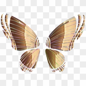 Butterfly Computer Graphics User Interface Drawing - Mariposa Alas Png, Transparent Png - mariposa png