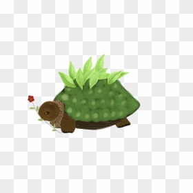 Tortoise, HD Png Download - tortoise png