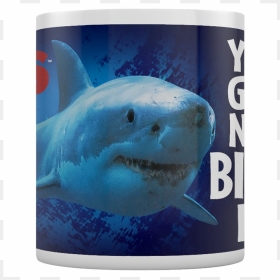 Great White Shark, HD Png Download - jaws png