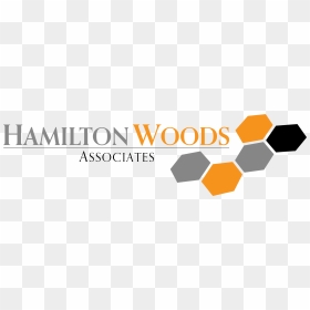 Graphic Design, HD Png Download - hamilton png
