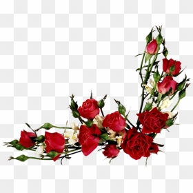 Vector Flowers, Flower Clipart, Vintage Roses, Vintage - Flowers Png Transparent Background, Png Download - rose flower vector png