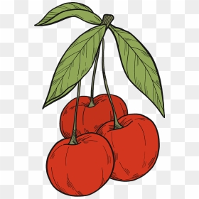 Cherries Clipart, HD Png Download - cherries png