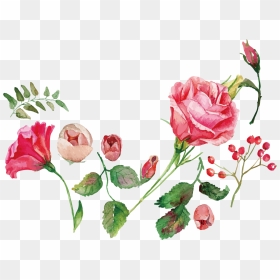 Transparent Watercolor Flower Clipart - Rose Watercolor Flowers Vector Png, Png Download - rose flower vector png