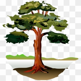 Eucalyptus Tree Clip Art, HD Png Download - tree wood png