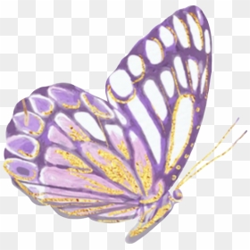 #butterfly #butterflywings #mariposa #glitter #sparkly - Butterflies Glitter Png, Transparent Png - mariposa png