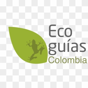 Eco Guias Colombia - Graphic Design, HD Png Download - colombia png