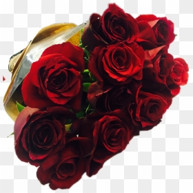 Roses Rose Flowers Flower Red Redrose Redroses Bucket - Floribunda, HD Png Download - flower bucket png