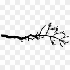 Branch Black And White Clipart, HD Png Download - tree wood png