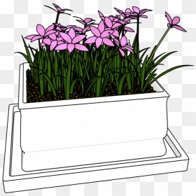 Flowers Bucket Clipart Download Hd Picture - Clip Art, HD Png Download - flower bucket png