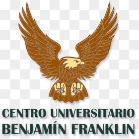 Logo Cu Benjamín Franklin - Hawk, HD Png Download - benjamin franklin png