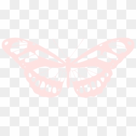 Mariposa Png, Transparent Png - mariposa png