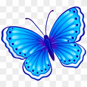 Draw A Butterfly And Colour , Png Download - Butterfly Drawing With Colour, Transparent Png - mariposa png