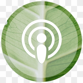 Ajp Web - Podcast, HD Png Download - climbing plants png