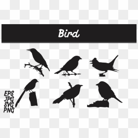 Transparent Bird Vector Png - Batik Mega Mendung Vector Png, Png Download - love birds vector png