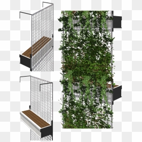Green Facade System, HD Png Download - climbing plants png