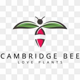 Cambridge Bee, HD Png Download - climbing plants png