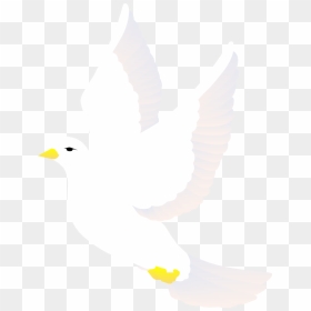 Free Vector Bird - Dove Bird Flying Animation, HD Png Download - love birds vector png