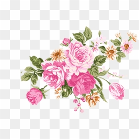 Flower Illustrations Of Rose High Definition Png Material - Vector Flower Illustration Png, Transparent Png - rose flower vector png