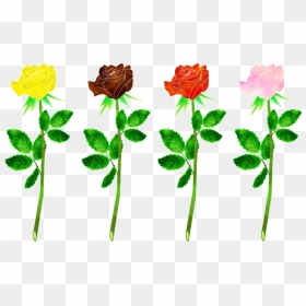 Transparent Rose Leaf Png - Pimpollo De Rosas Png, Png Download - rose plant png