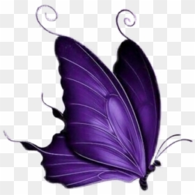 #mariposa #morada - Mariposa Morada Png, Transparent Png - mariposa png