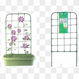 Plant Climbing Support Garden Trellis - Architecture, HD Png Download - climbing plants png