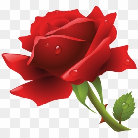 Happy New Year 2020 Flowergif, HD Png Download - rose flower vector png