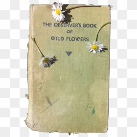 53 Images About Editing - Observer's Book Of Wild Flowers, HD Png Download - photoshop editing effects png