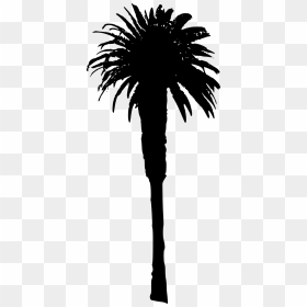 Palm Tree - Illustration, HD Png Download - dates tree png