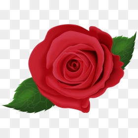 Rose Flower Leaf Png Clipart , Png Download - Rose With Leaves Png, Transparent Png - rose plant png