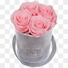 Classic Infinity Rosebox - Persian Buttercup, HD Png Download - flower bucket png