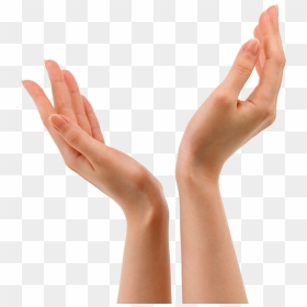 Hands Png Free Images, Pictures Download, Hand, Transparent Png - hand images png