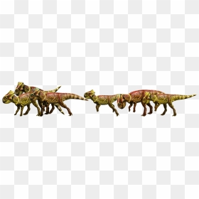 Jurassic World Evolution Png Photo - Microceratus Jurassic World, Transparent Png - evolution png