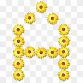 Sunflower Seed,chrysanths,plant - Sunflower Number Png, Transparent Png - rose plant png