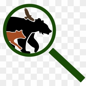 Naturespy Is A Social Enterprise Specialising In Camera - Clip Art, HD Png Download - bear trap png