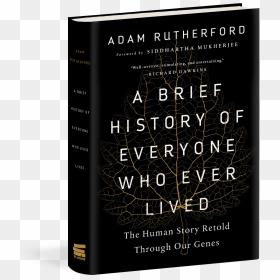 Book Cover, HD Png Download - e for everyone png