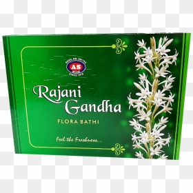 Jasmine, HD Png Download - mogra flower png